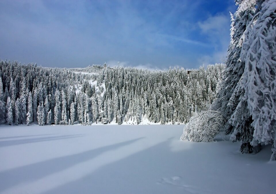 Bild von verschneiter Winterlandschaft