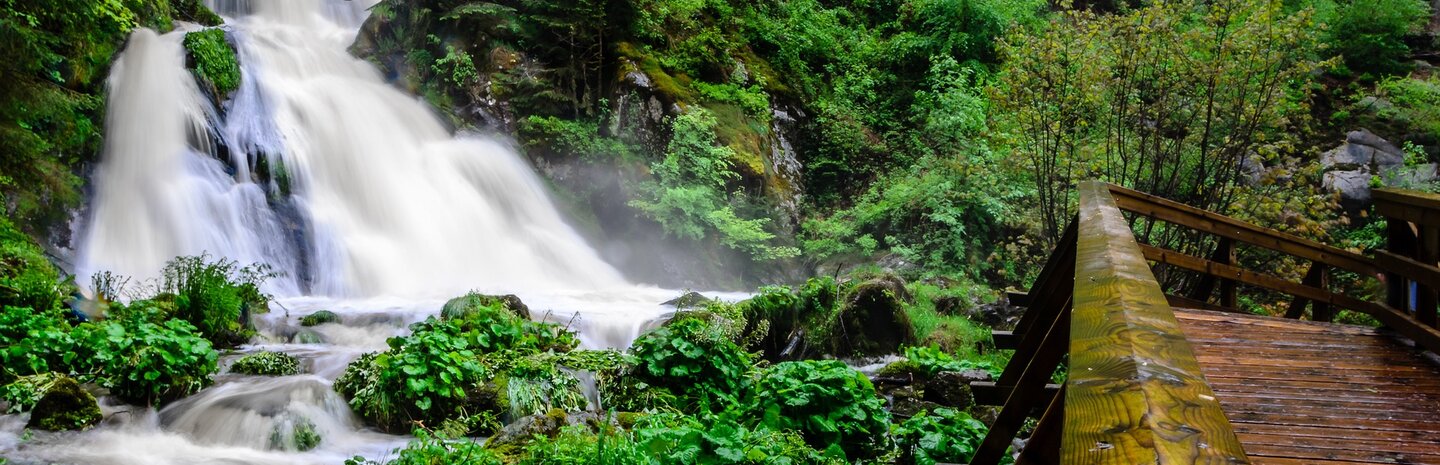 Bild von den Triberger Wasserfällen