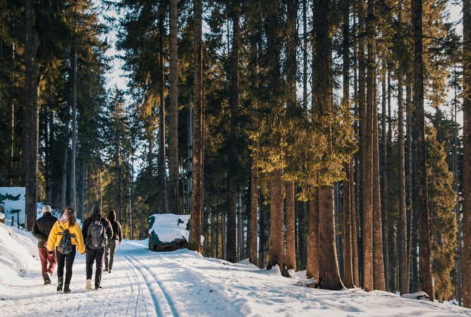 Gruppe beim Winterwandern im verschneiten Wald